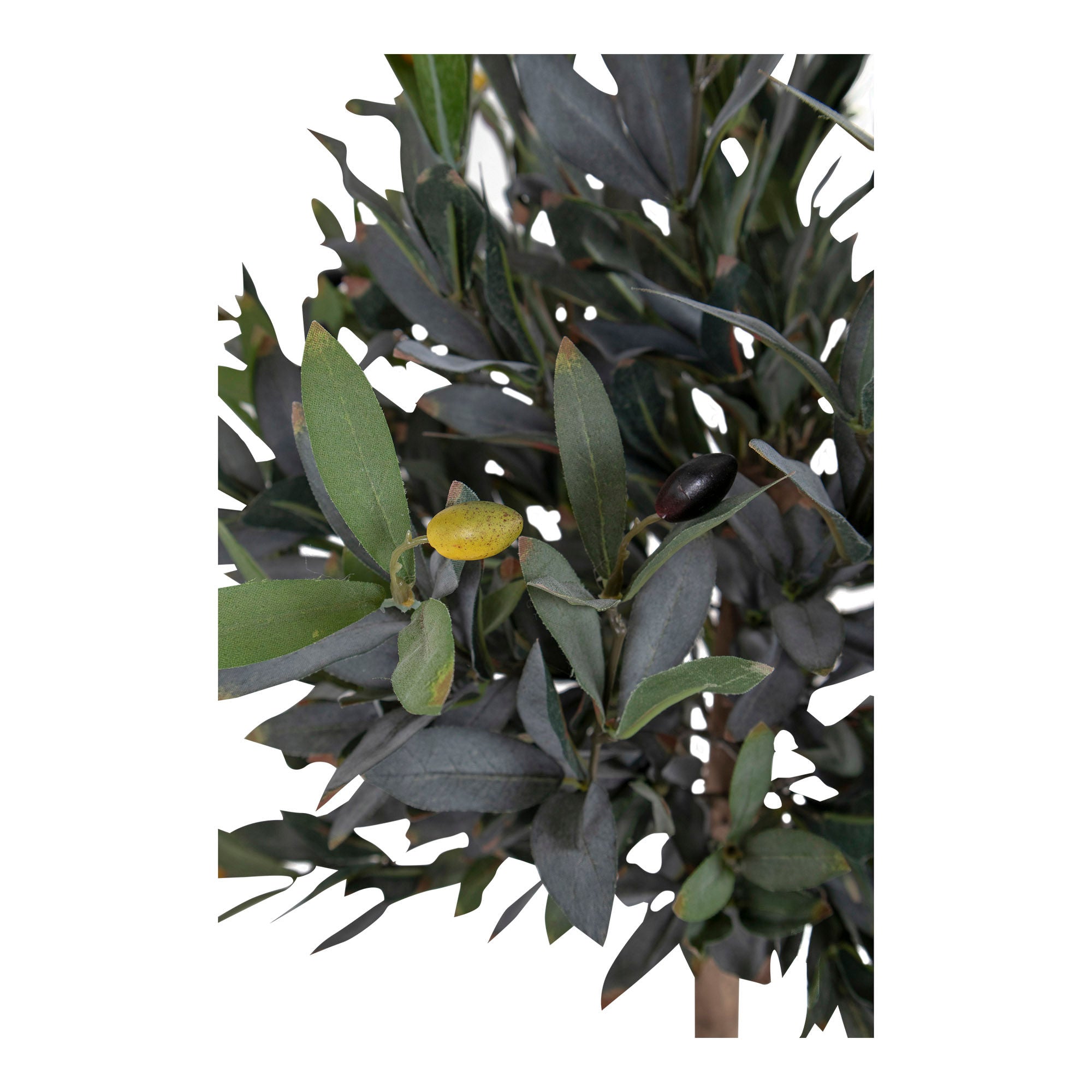 Oliventræ 120 cm