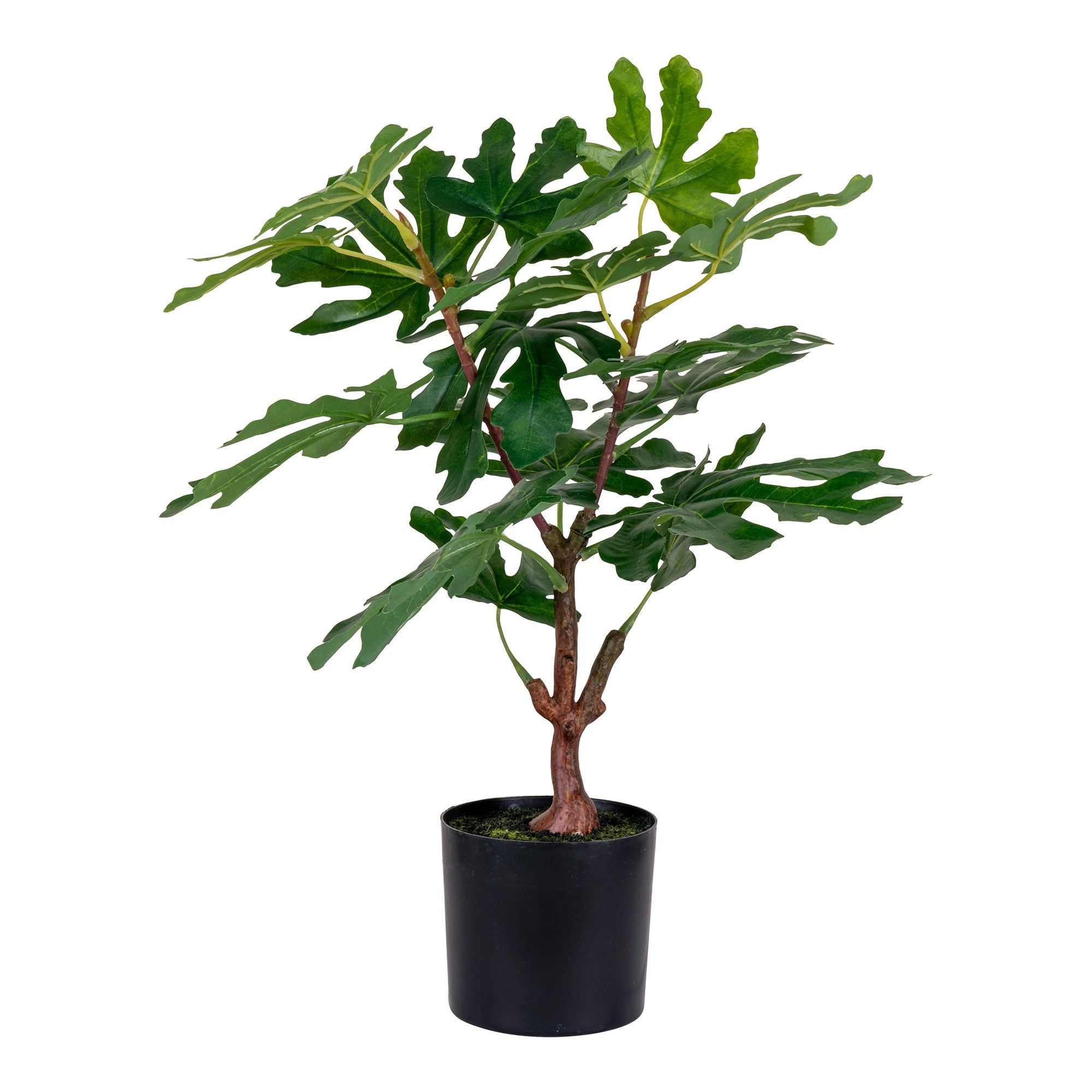 Figentræ kunstig plante - H40 cm